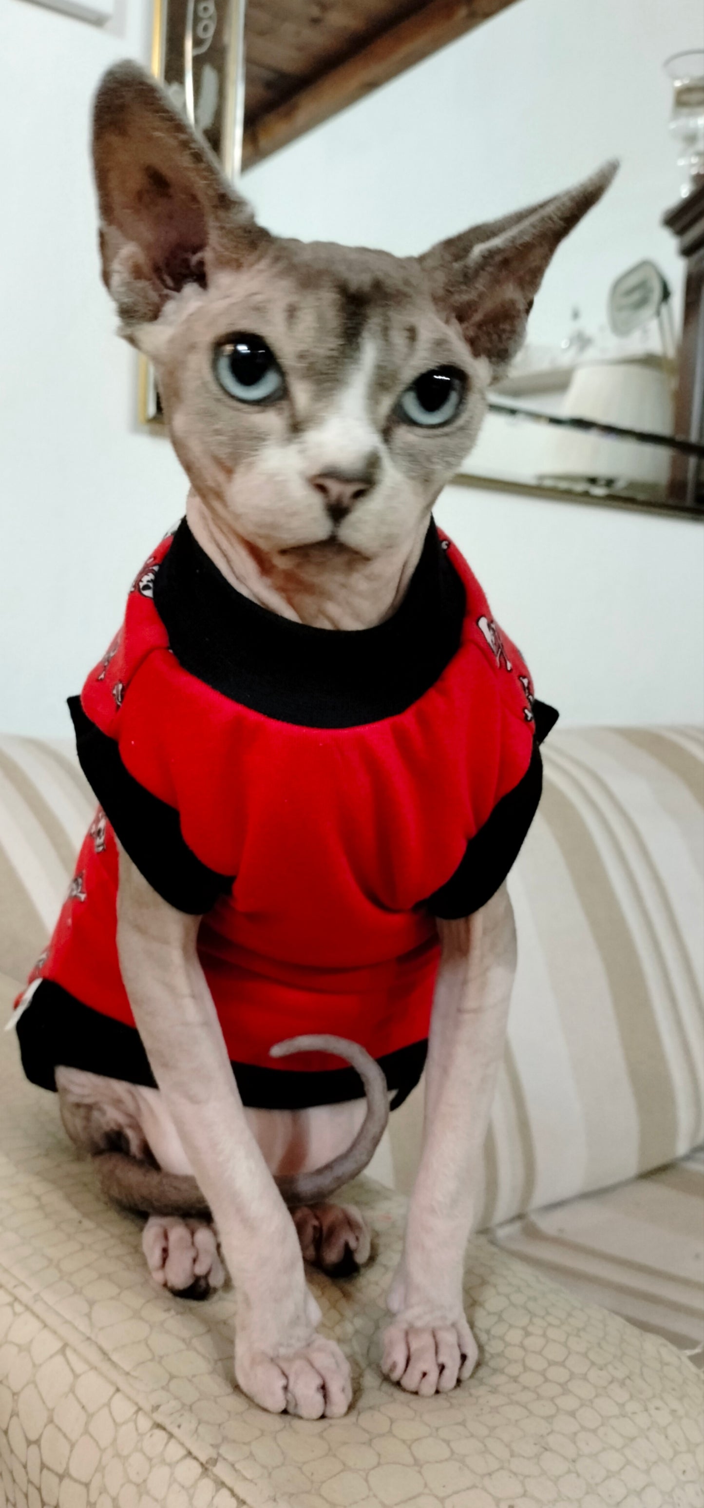 JERSEY in cotone TESCHIETTI FONDO ROSSO