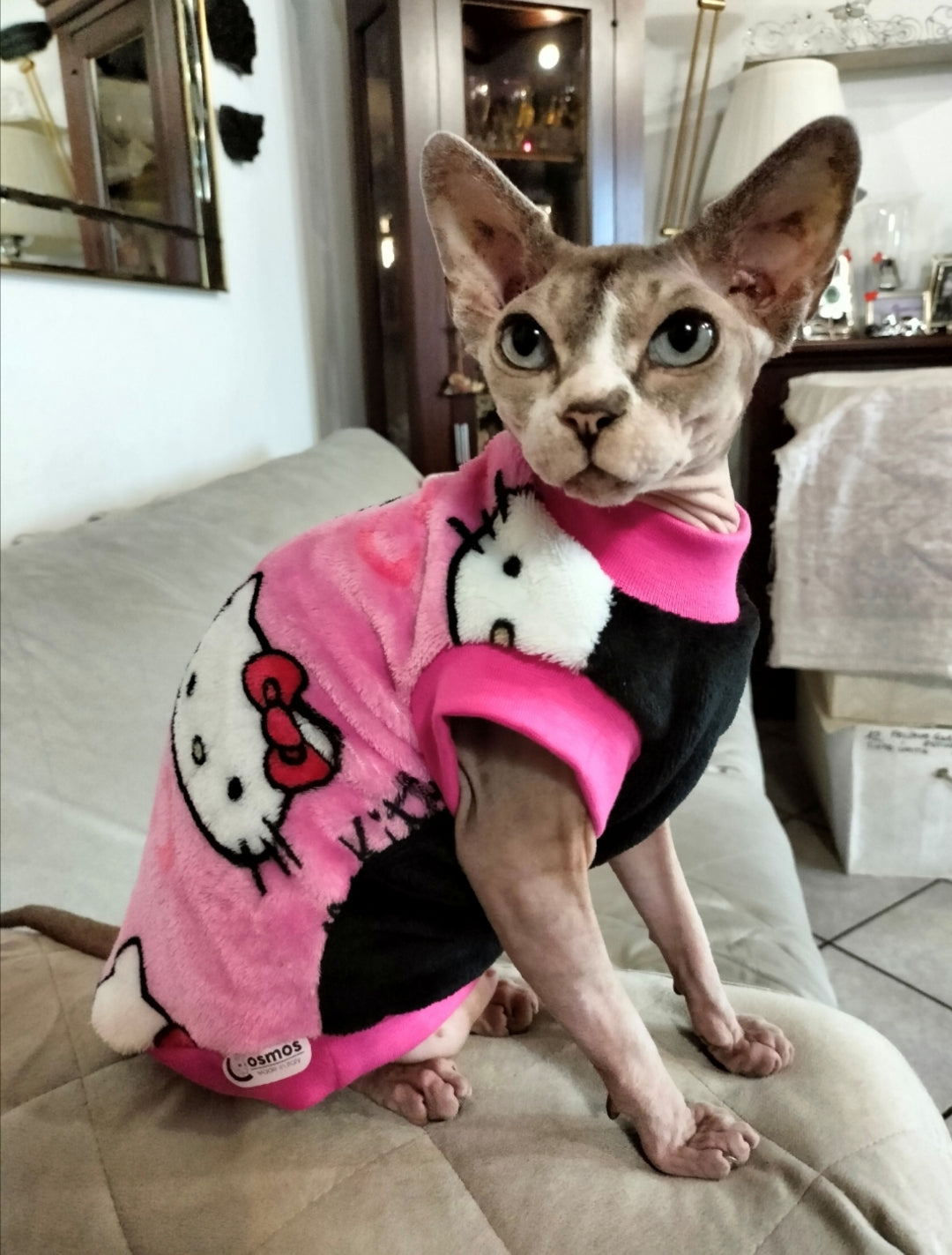 PILE CINIGLIATO HELLO KITTY (429)