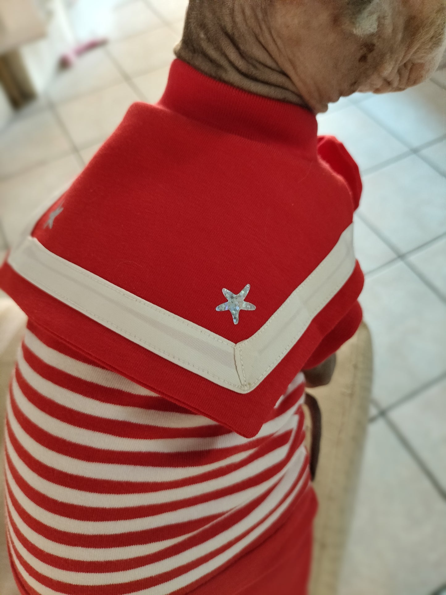 VESTITI A TEMA: JERSEY in cotone MARINARETTA