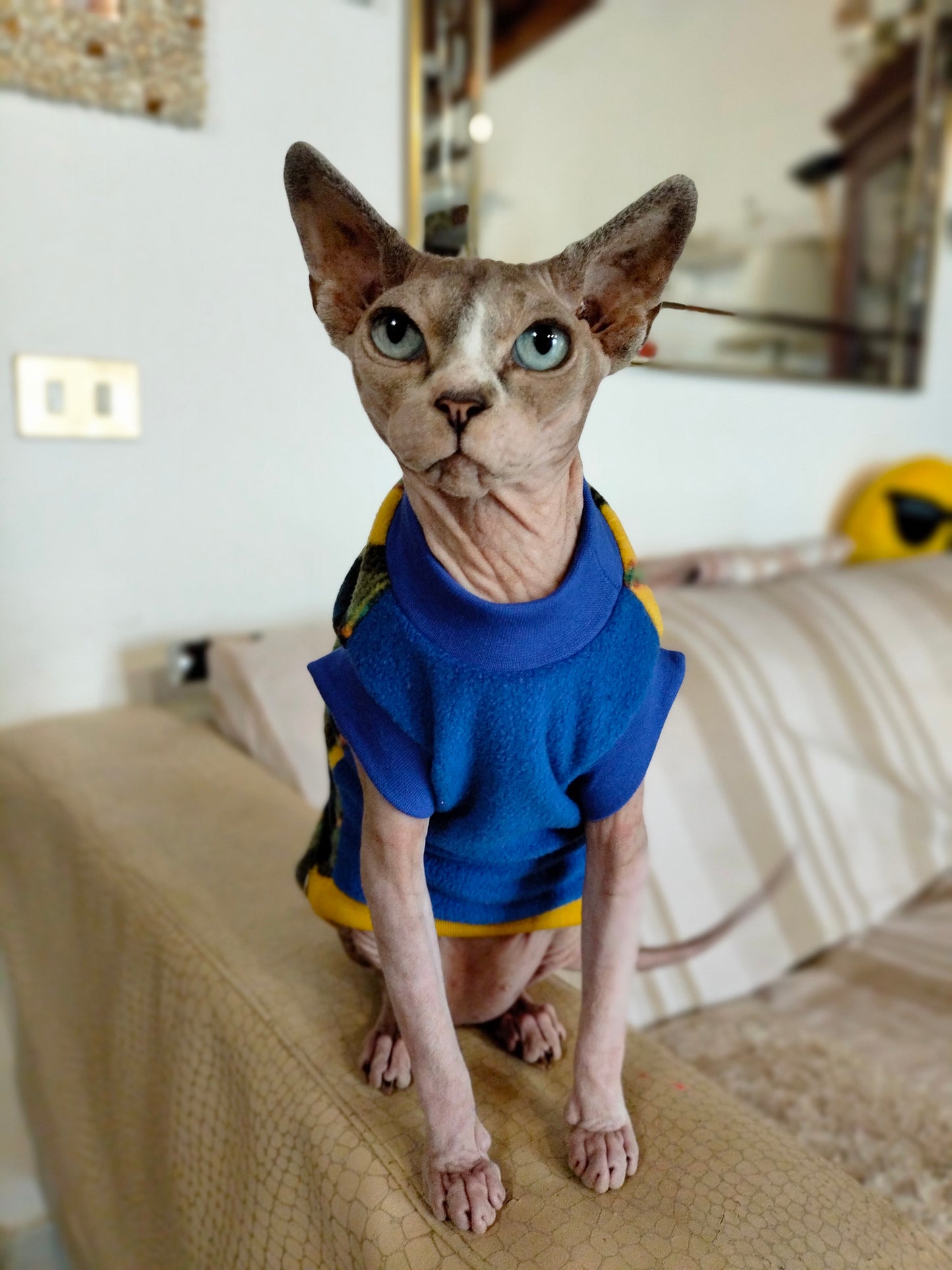 PILE NO PILLING SCOZZESE GIALLO BLU (321)