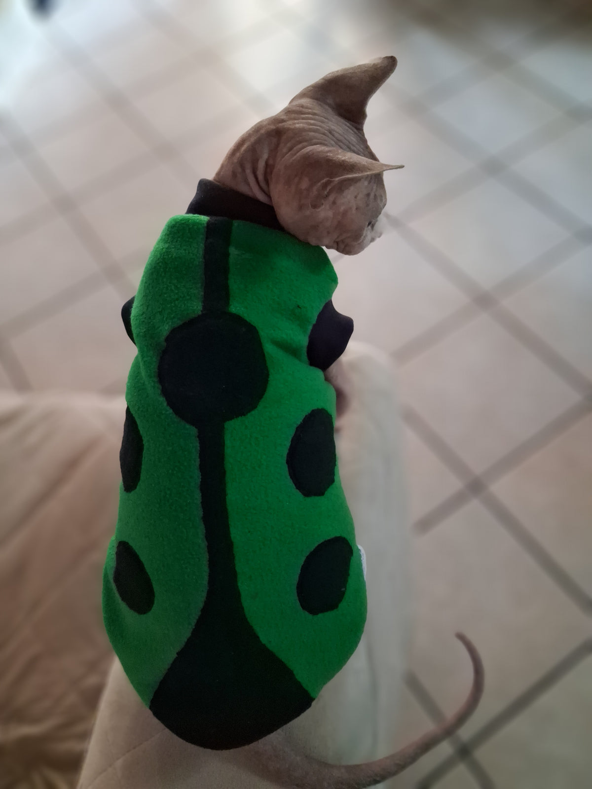 VESTITI A TEMA: PILE COCCINELLA
