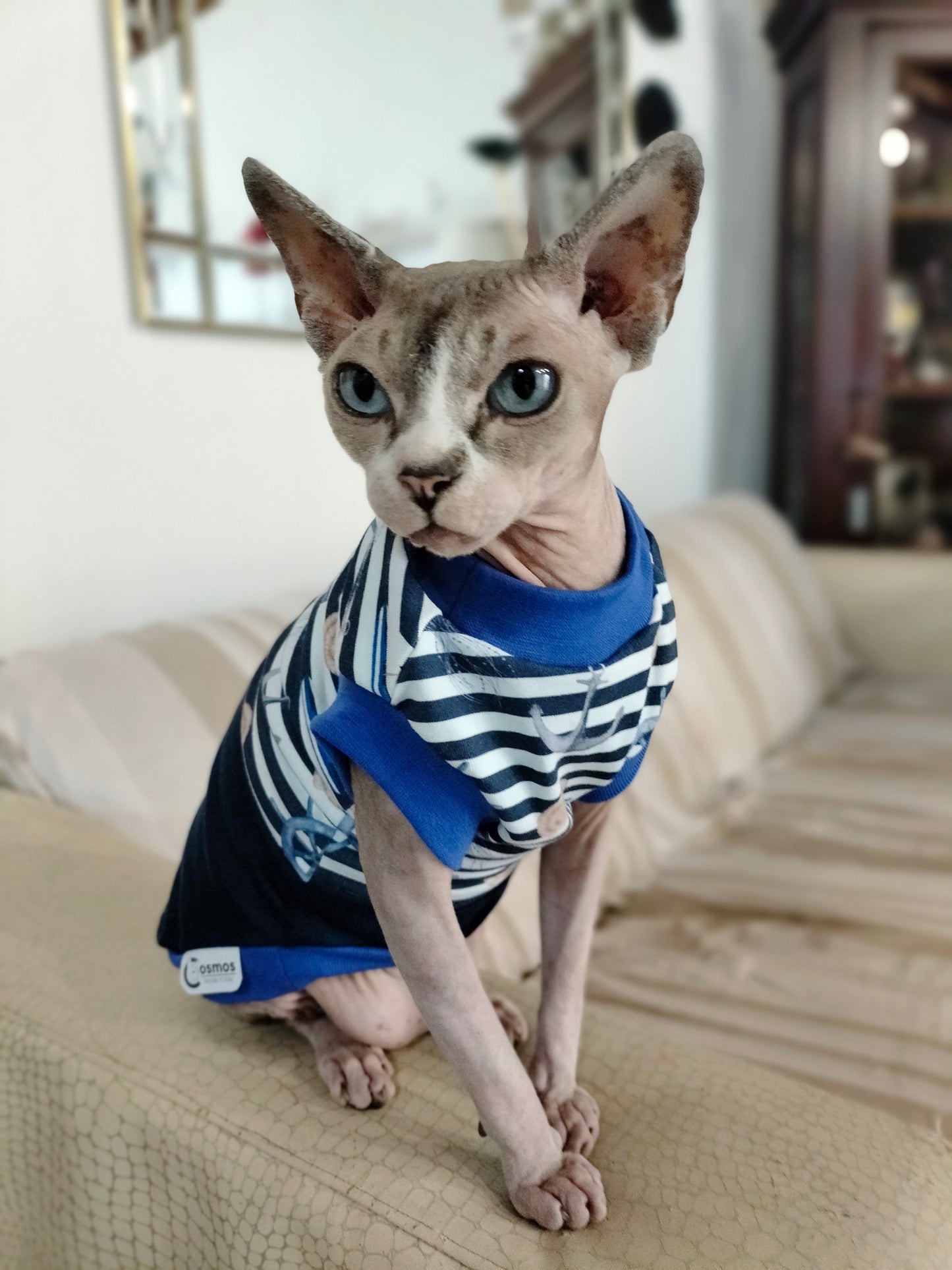 JERSEY in cotone MARINAIO (135)
