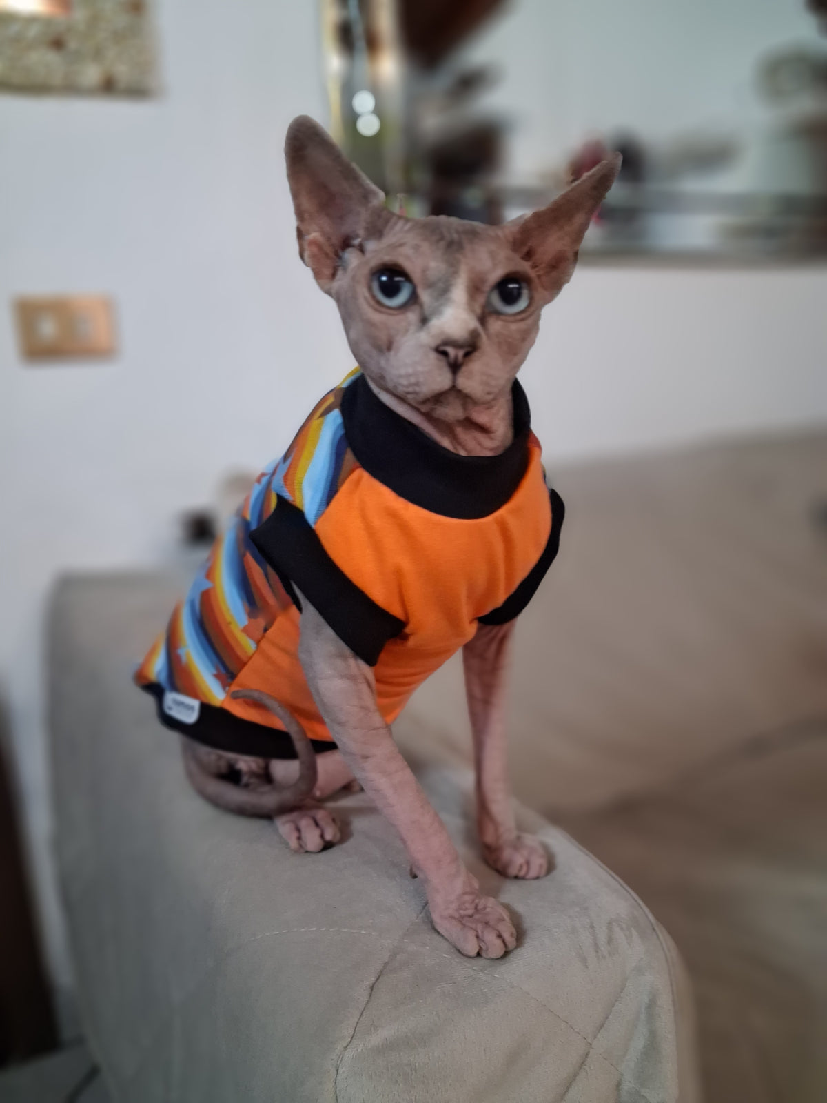 FELPINA ARANCIO/AZZURRO CON STELLE (4)