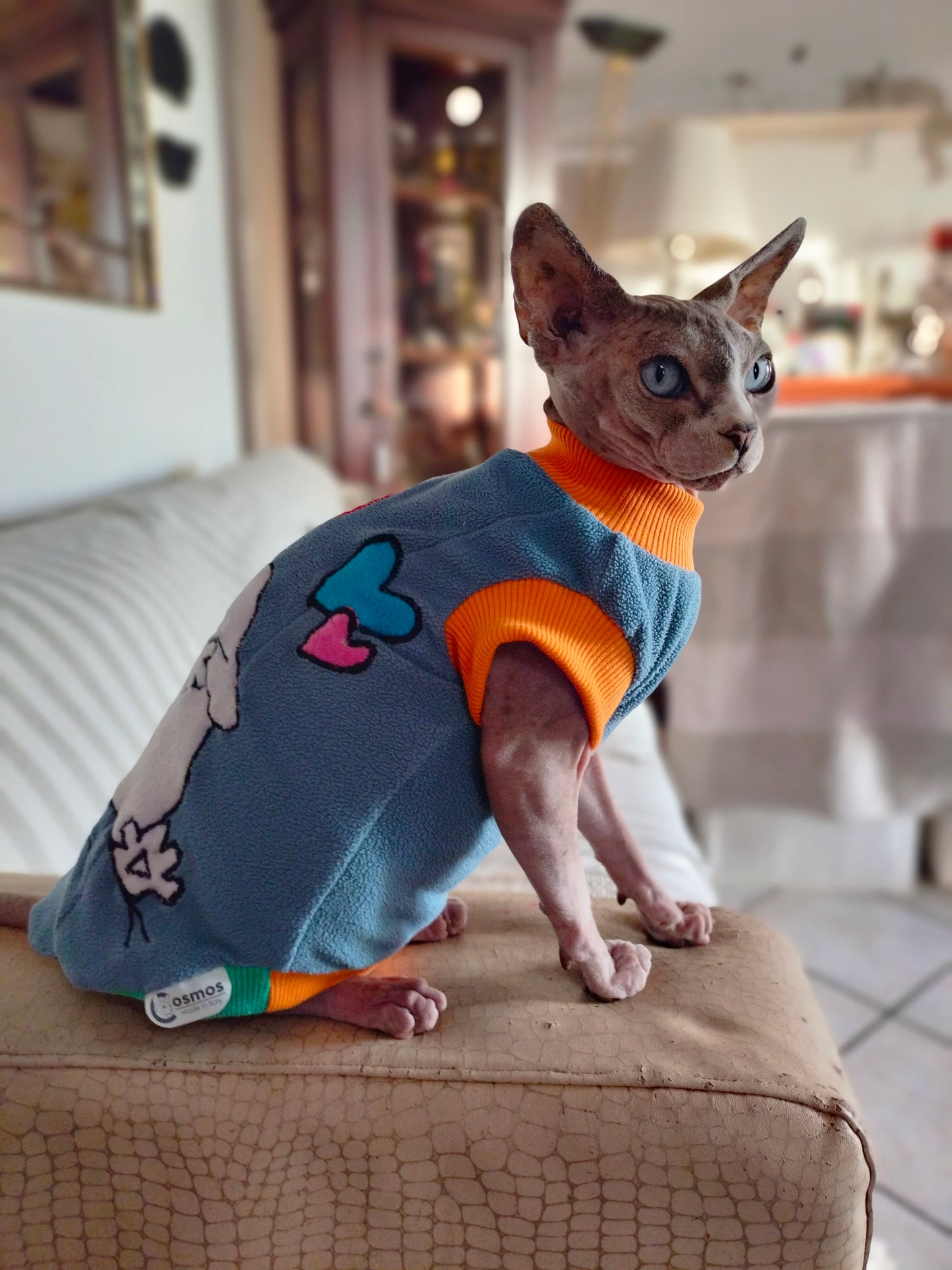 VESTITI A TEMA: PILE SIMON'S CAT