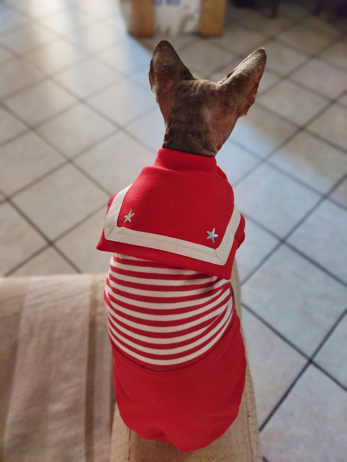 VESTITI A TEMA: JERSEY in cotone MARINARETTA