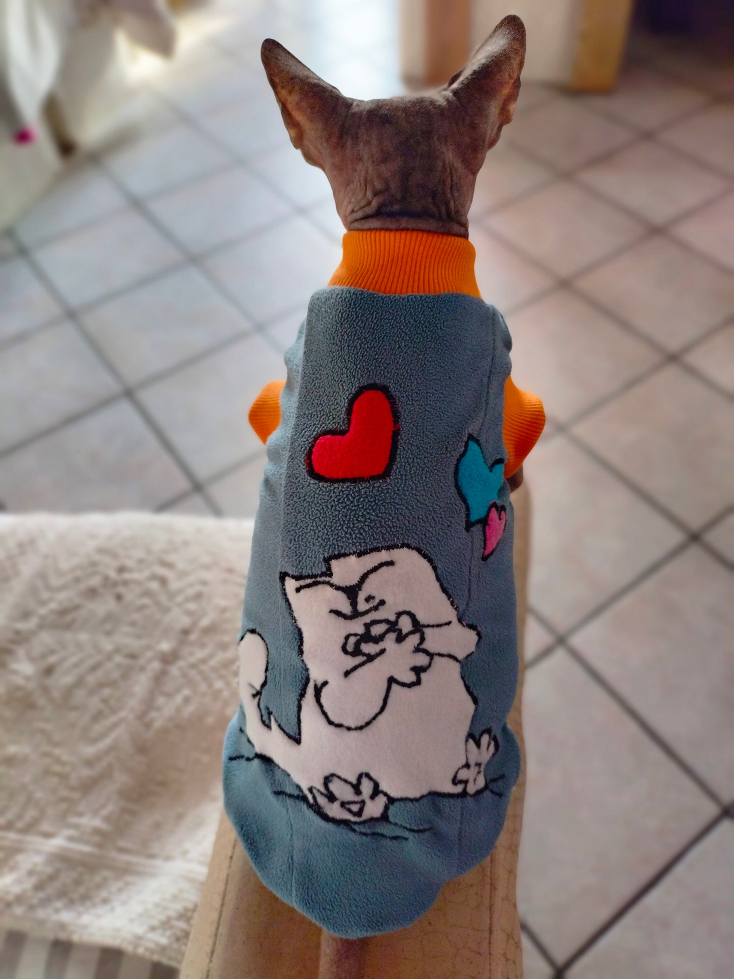 VESTITI A TEMA: PILE SIMON'S CAT