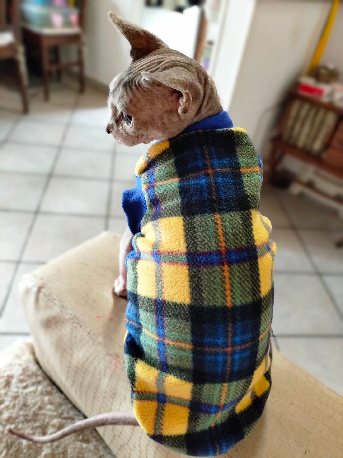 PILE NO PILLING SCOZZESE GIALLO BLU (321)