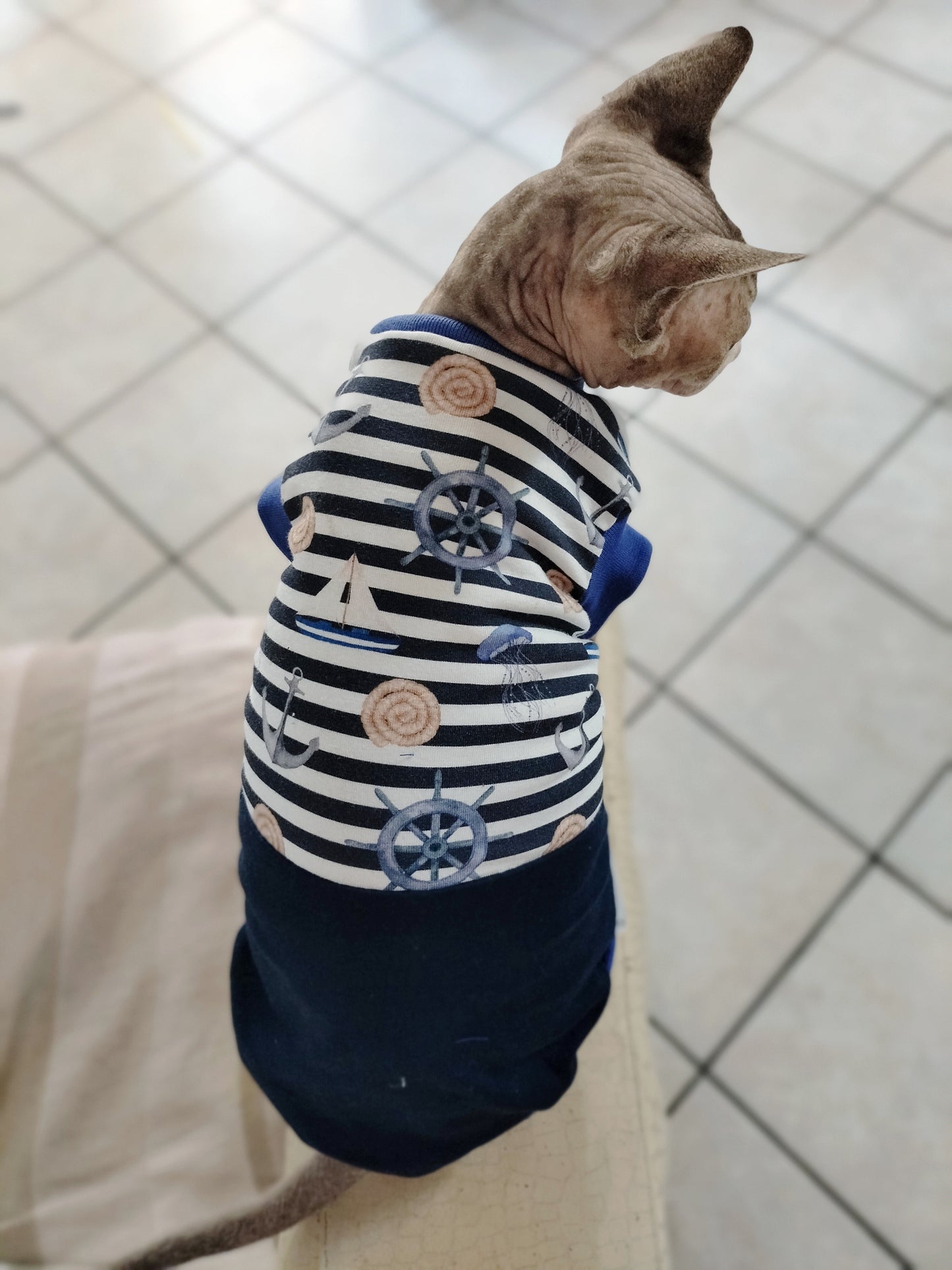 JERSEY in cotone MARINAIO (135)
