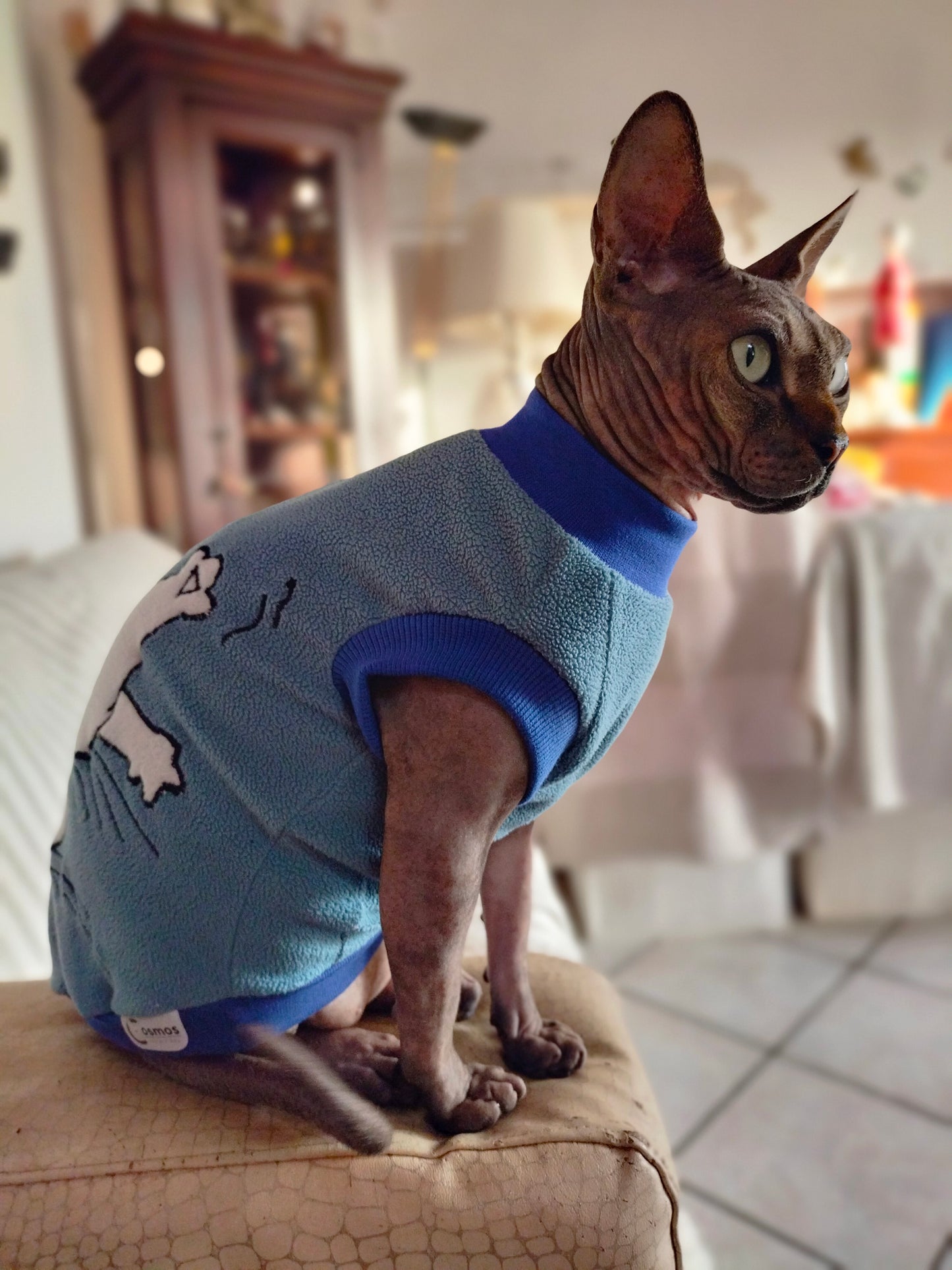 VESTITI A TEMA: PILE SIMON'S CAT