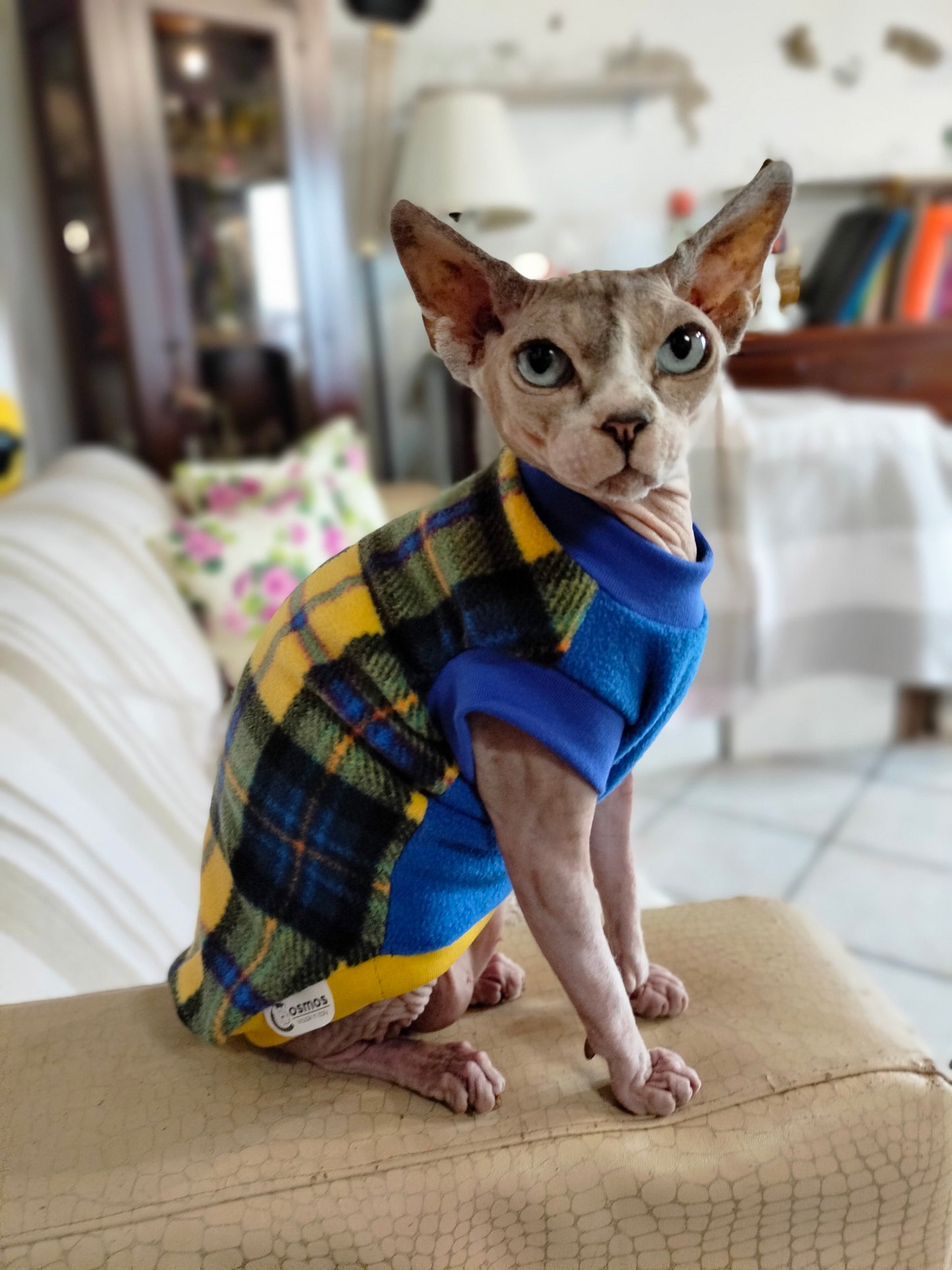 PILE NO PILLING SCOZZESE GIALLO BLU (321)