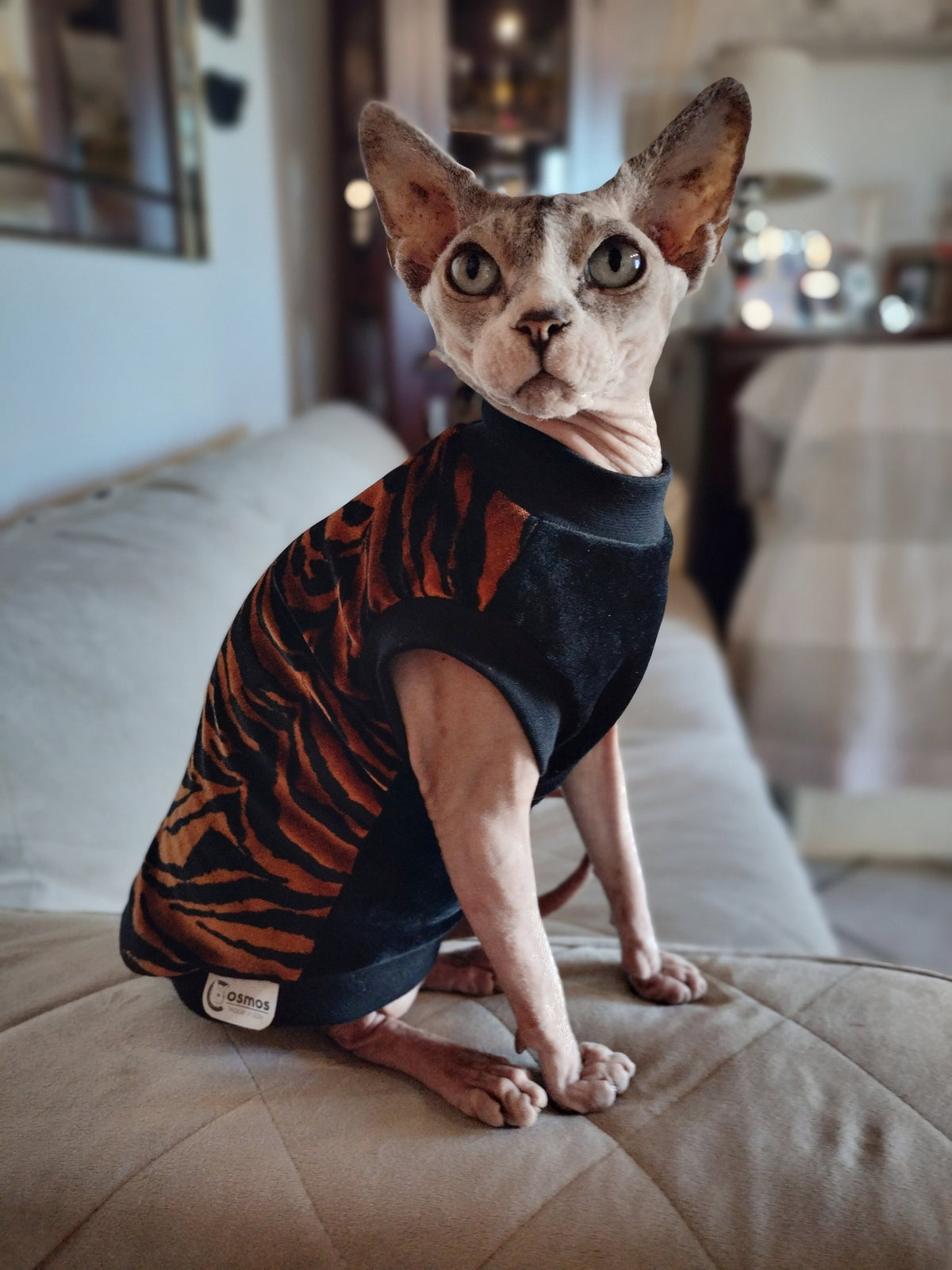 CINIGLIA TIGRE BRONZO