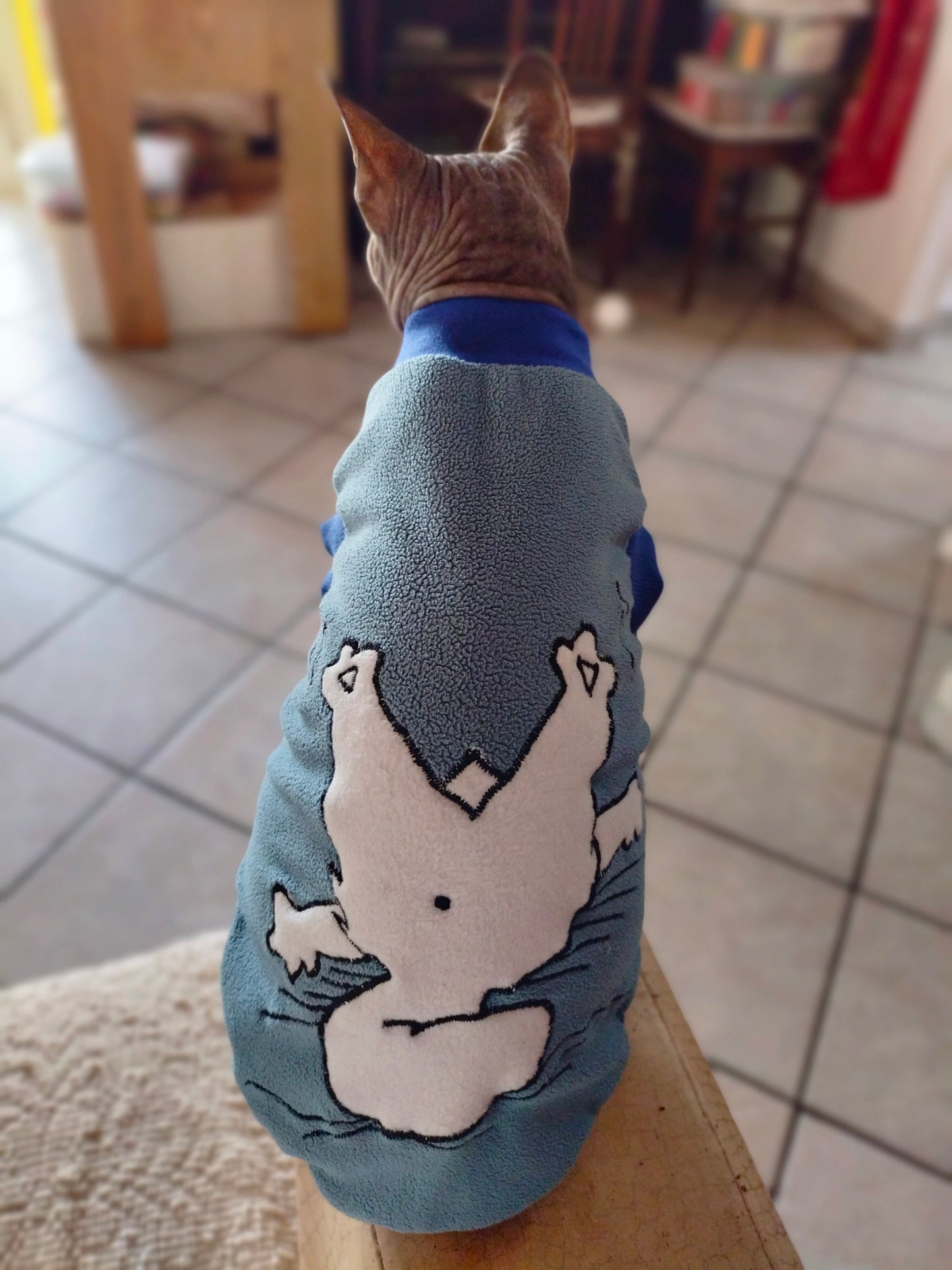 VESTITI A TEMA: PILE SIMON'S CAT