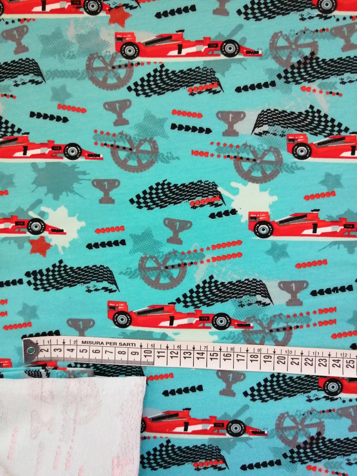 FELPINA FERRARI (11)