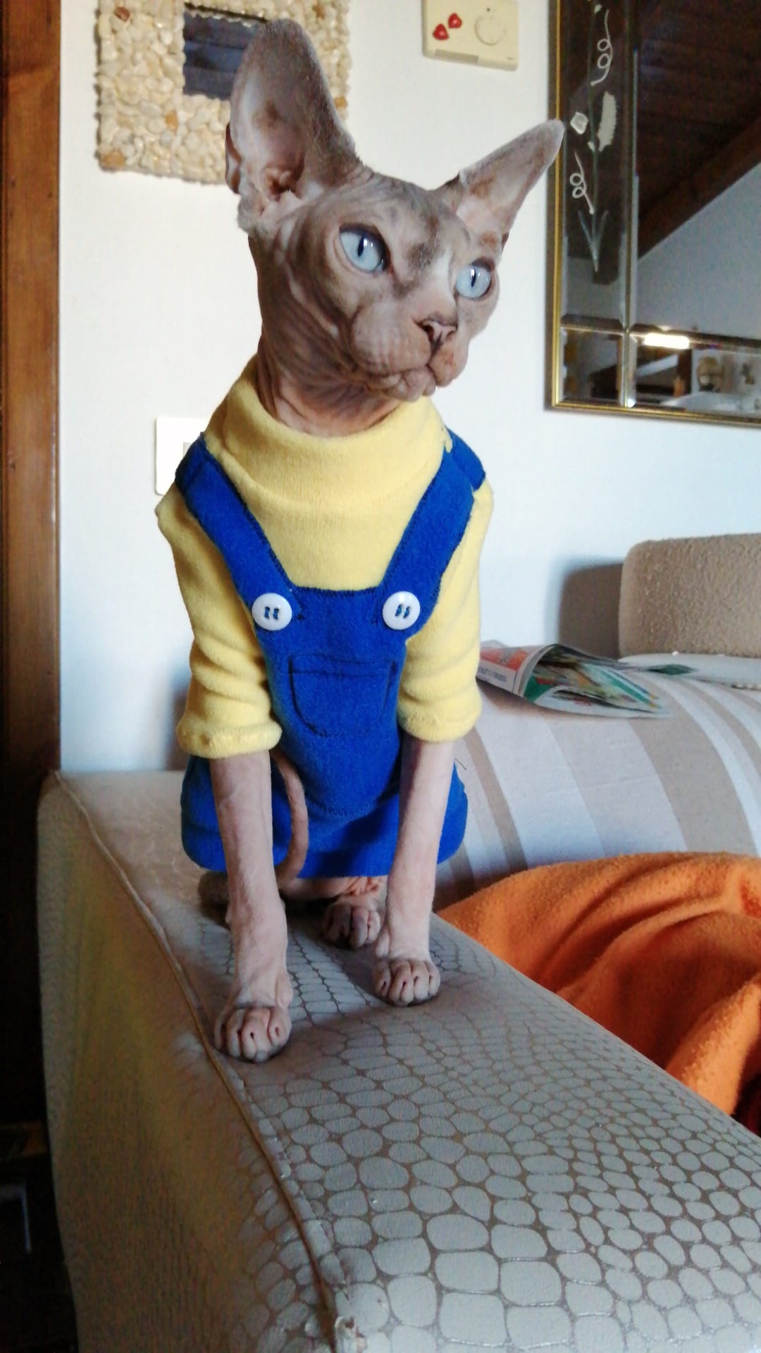 VESTITI A TEMA: PILE MINIONS per lui e per lei