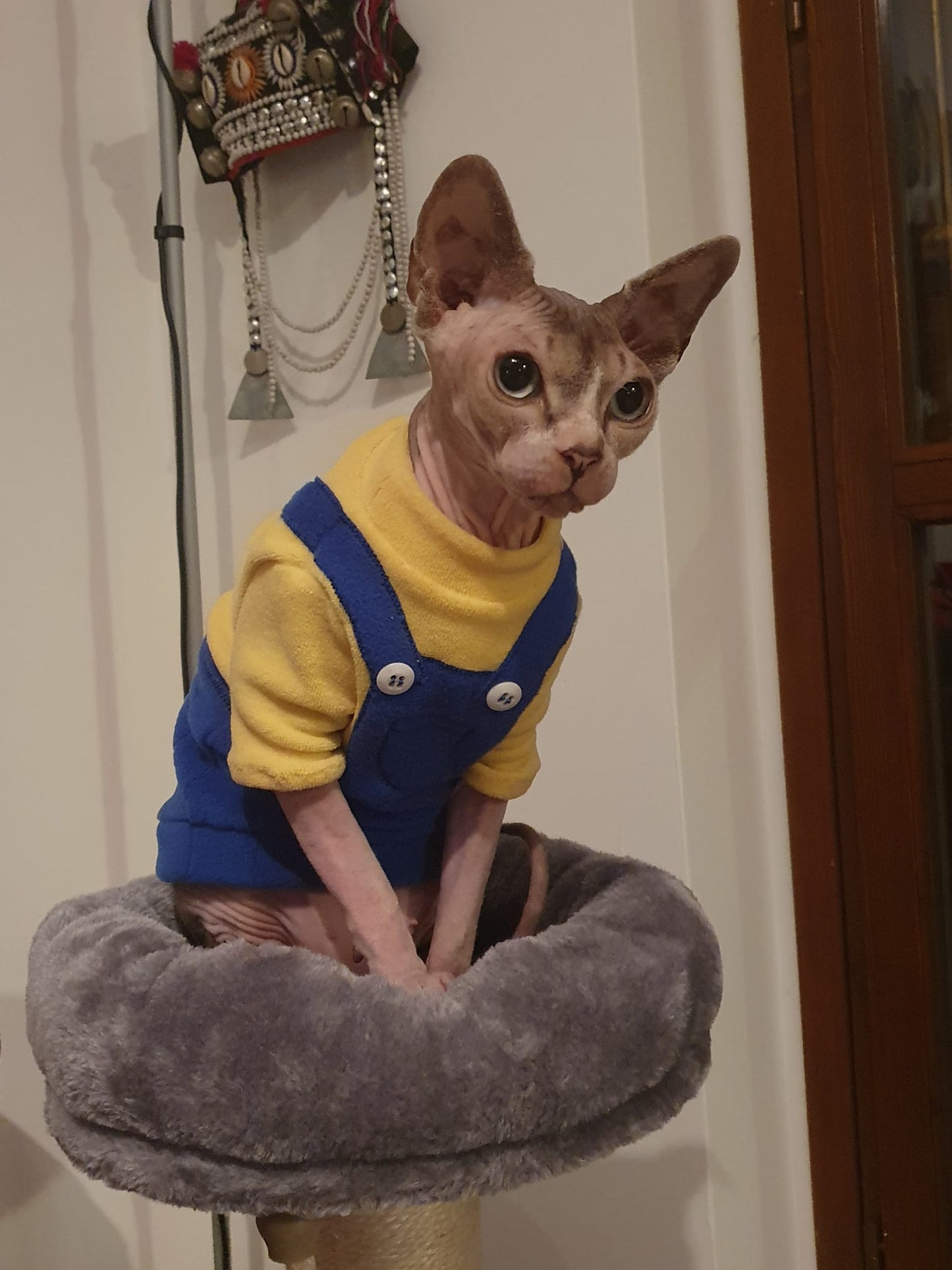 VESTITI A TEMA: PILE MINIONS per lui e per lei