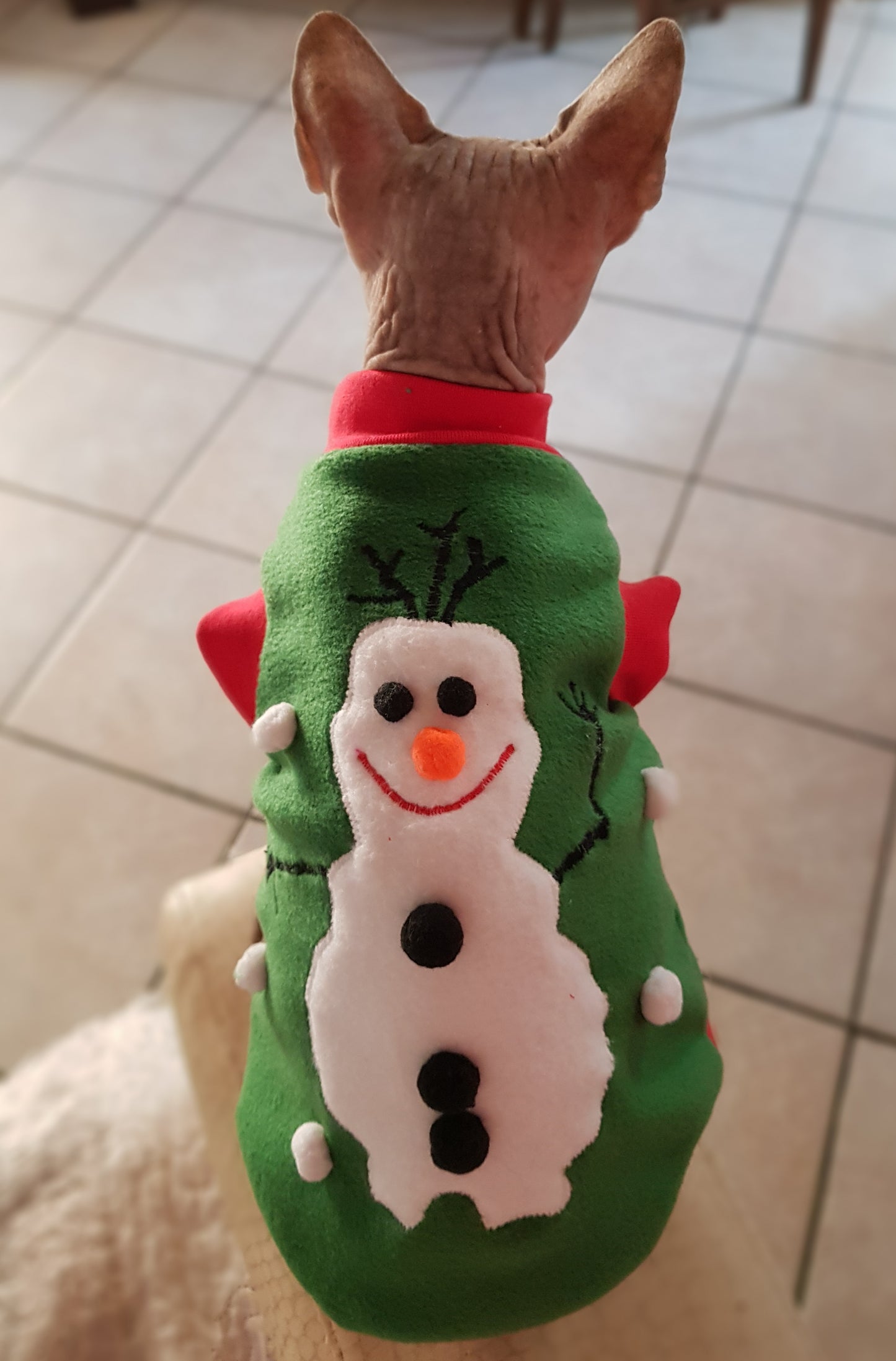 VESTITI A TEMA: PILE PUPAZZO DI NEVE OLAF DA FROZEN