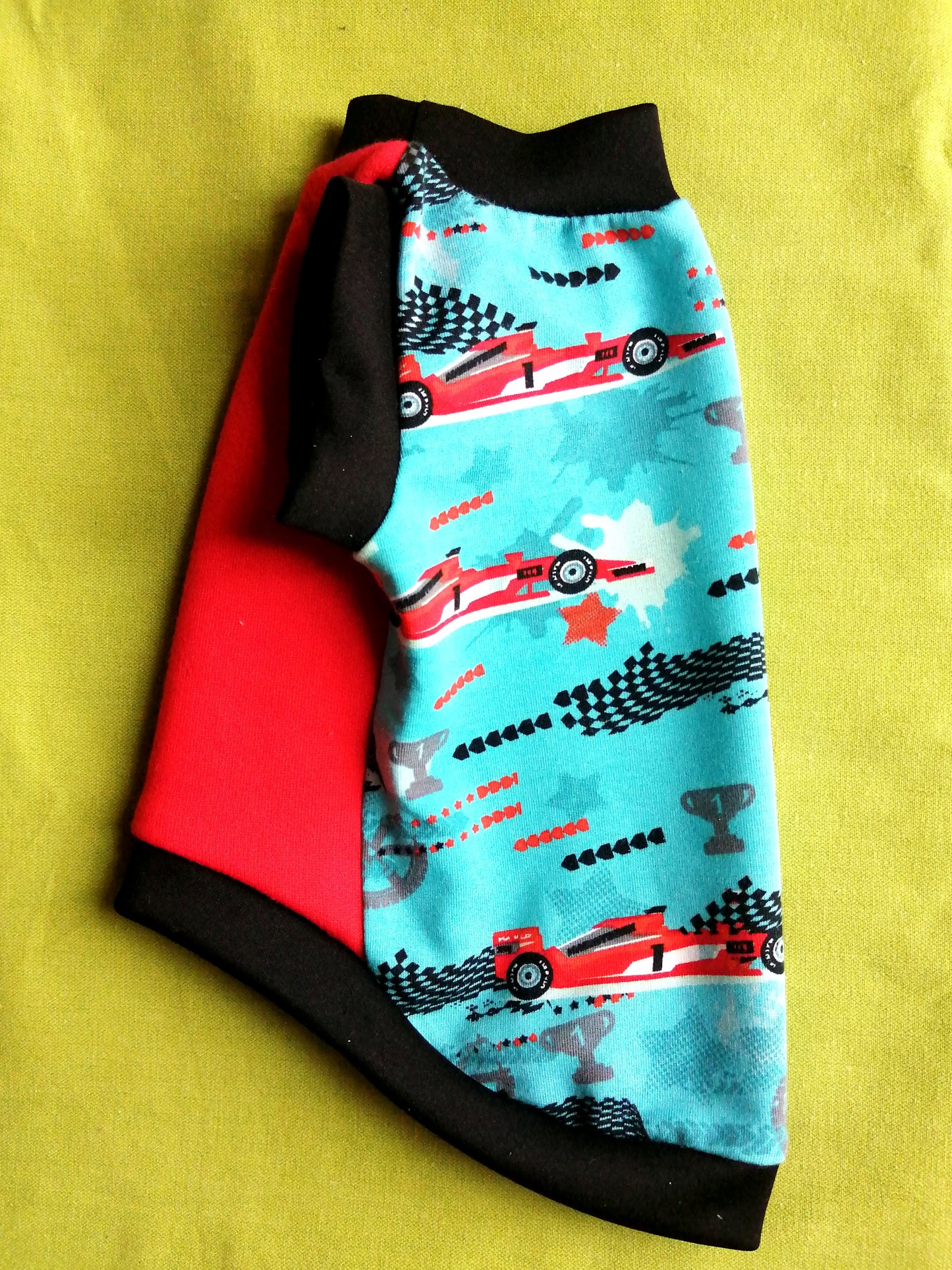 FELPINA FERRARI (11)