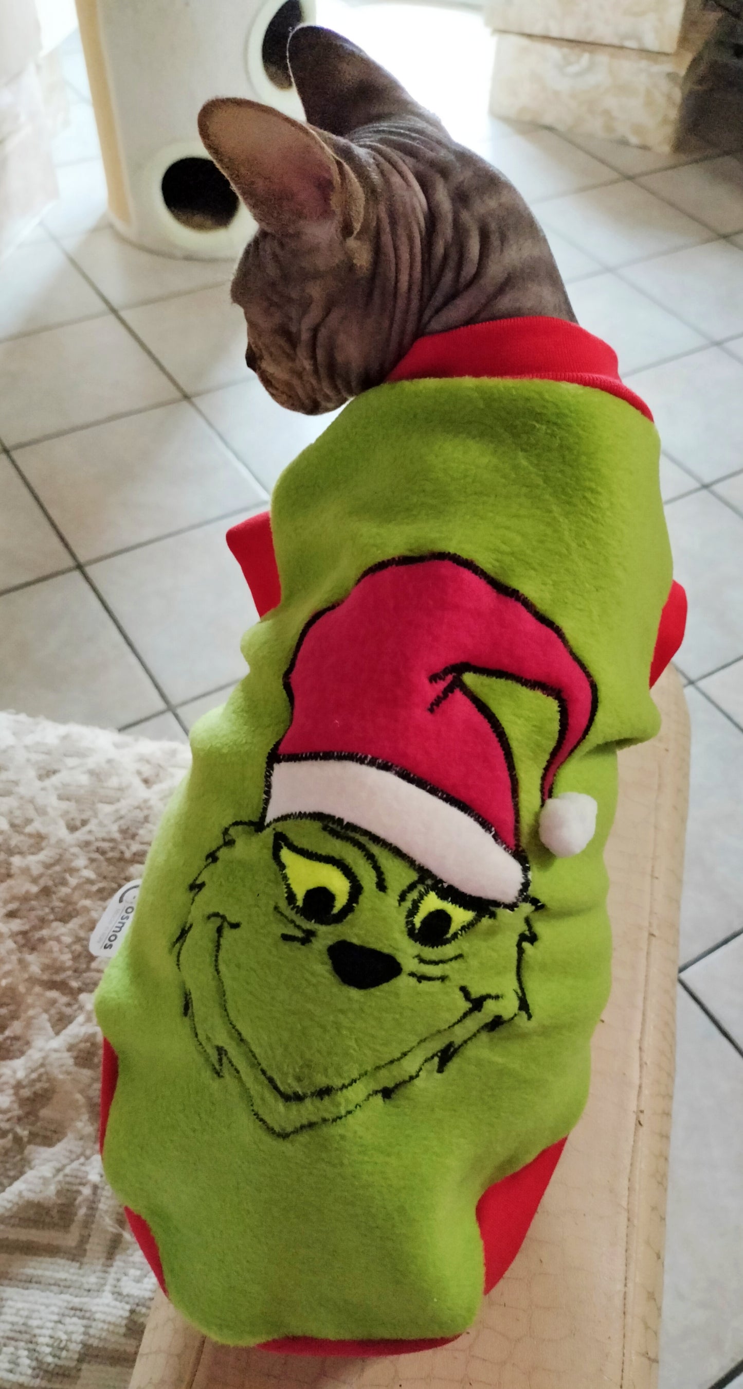 VESTITI A TEMA: PILE IL GRINCH