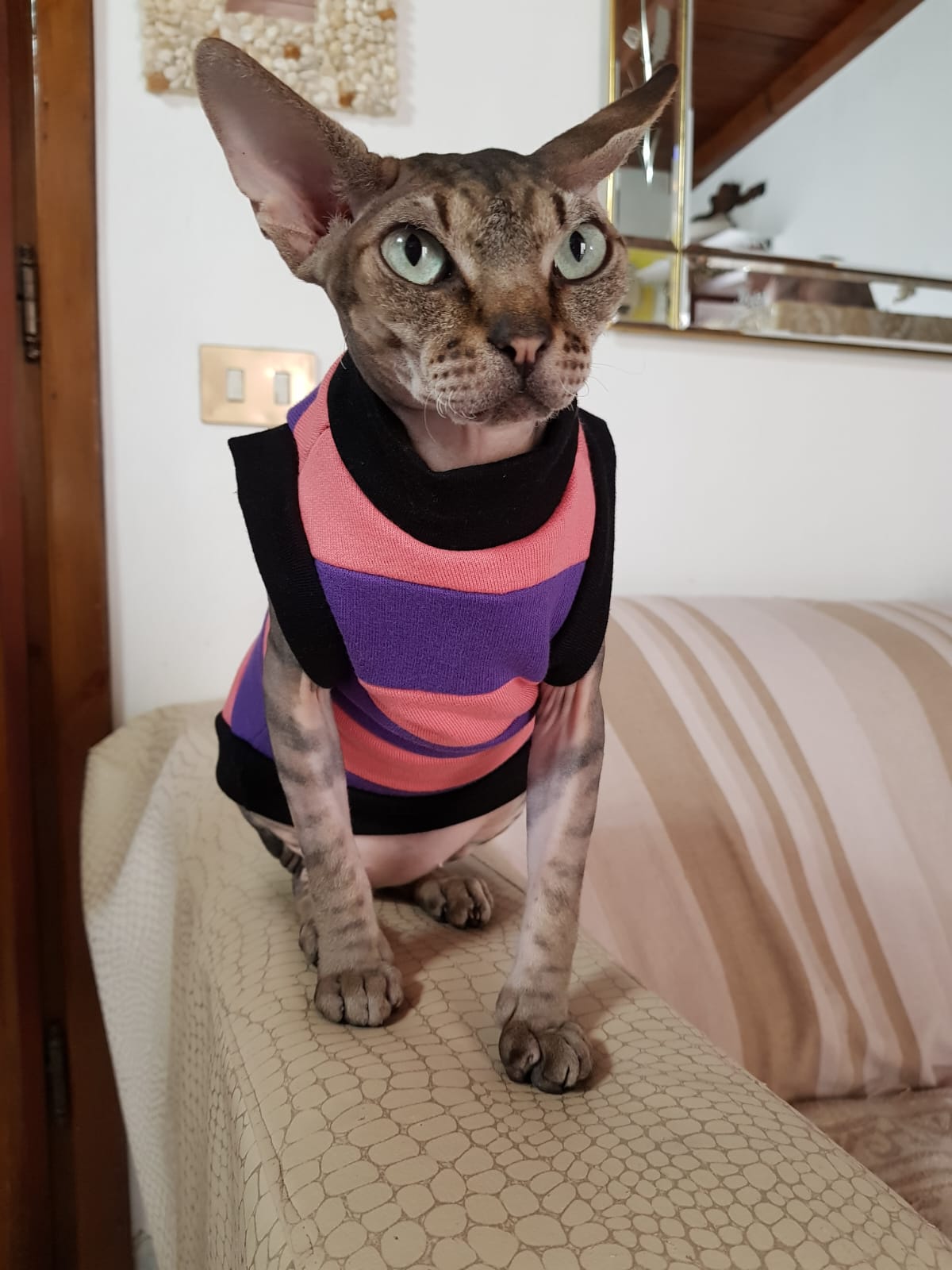 VESTITI A TEMA: FELPA STREGATTO