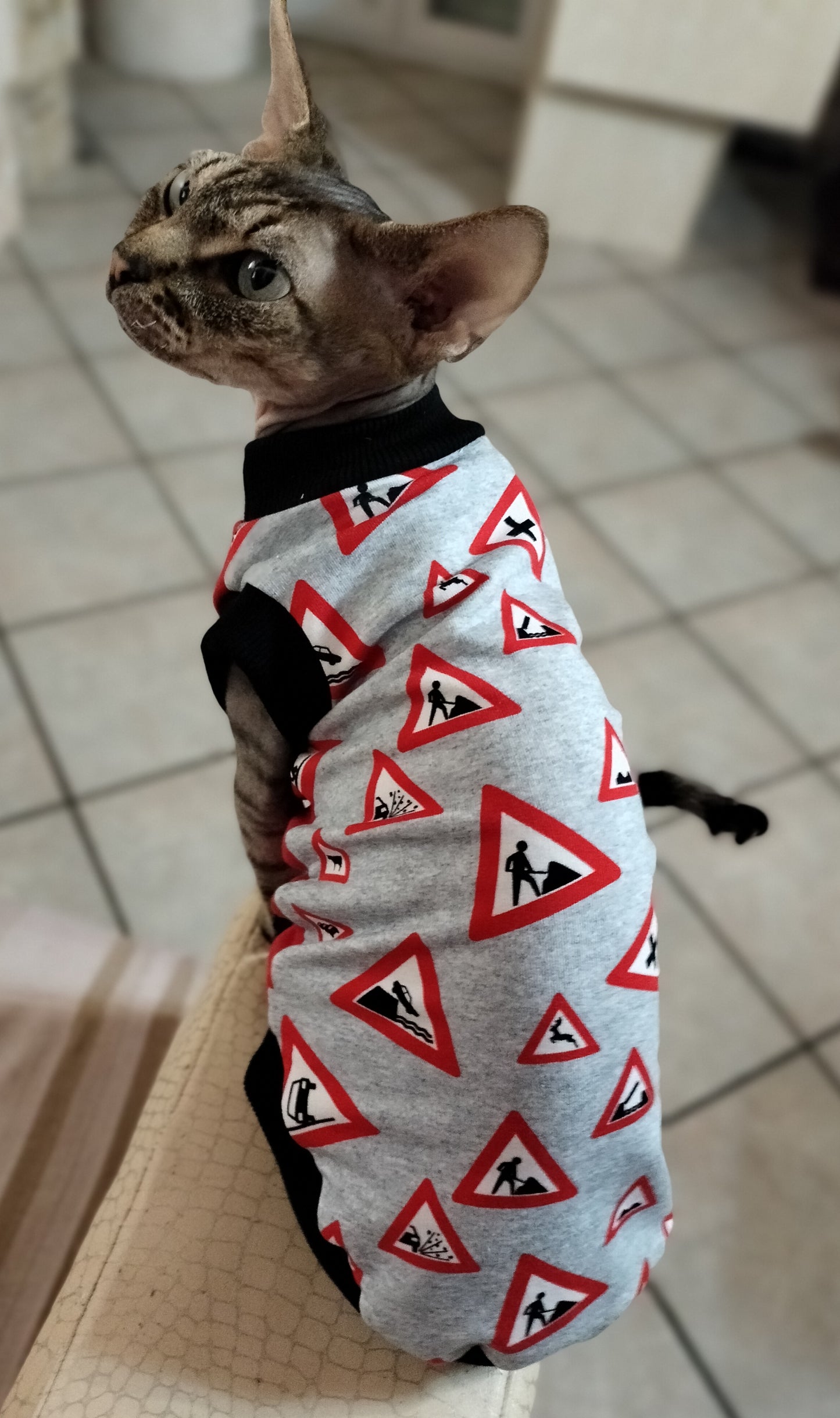 FELPINA CARTELLI STRADALI (7)