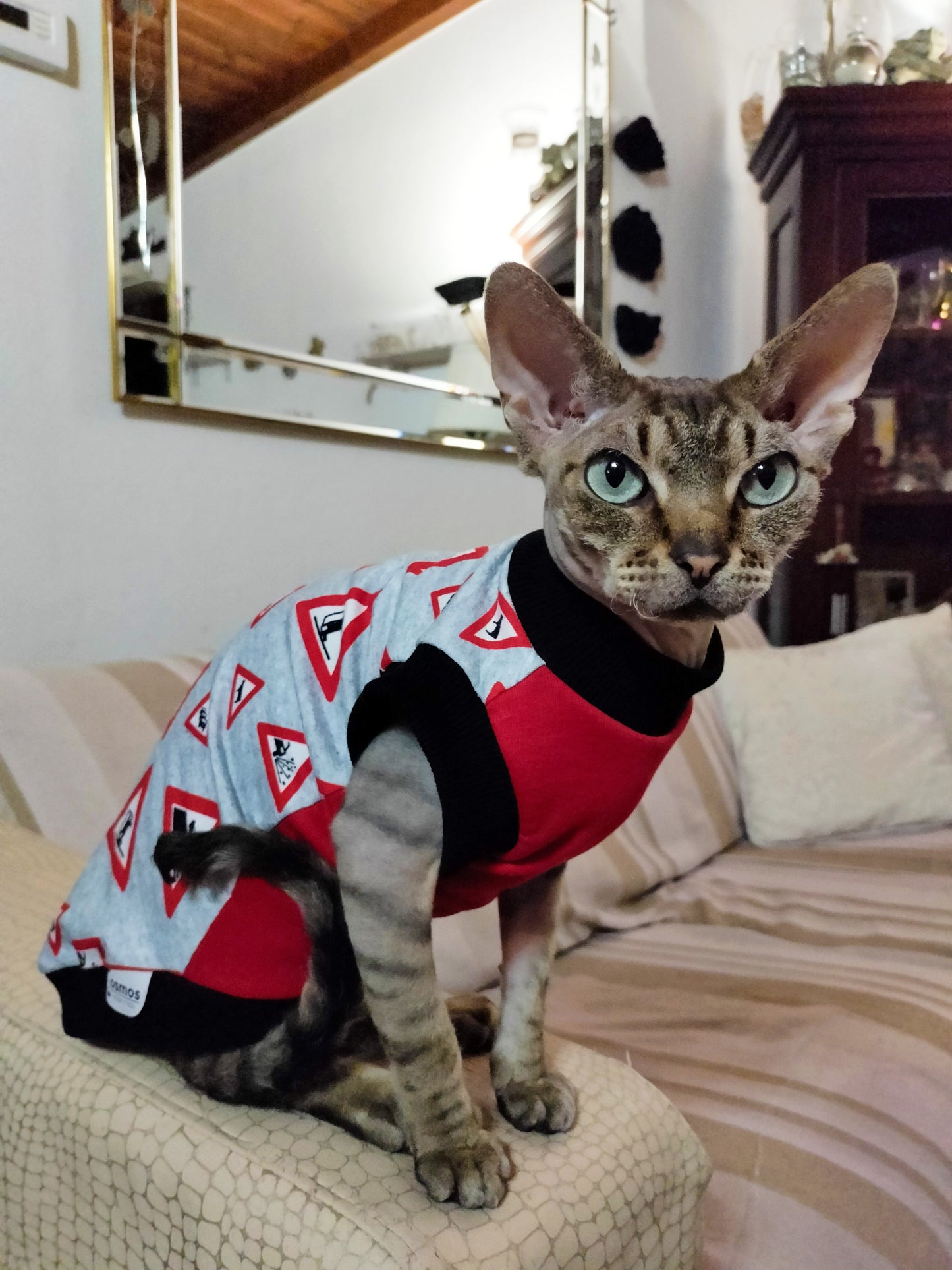 FELPINA CARTELLI STRADALI (7)