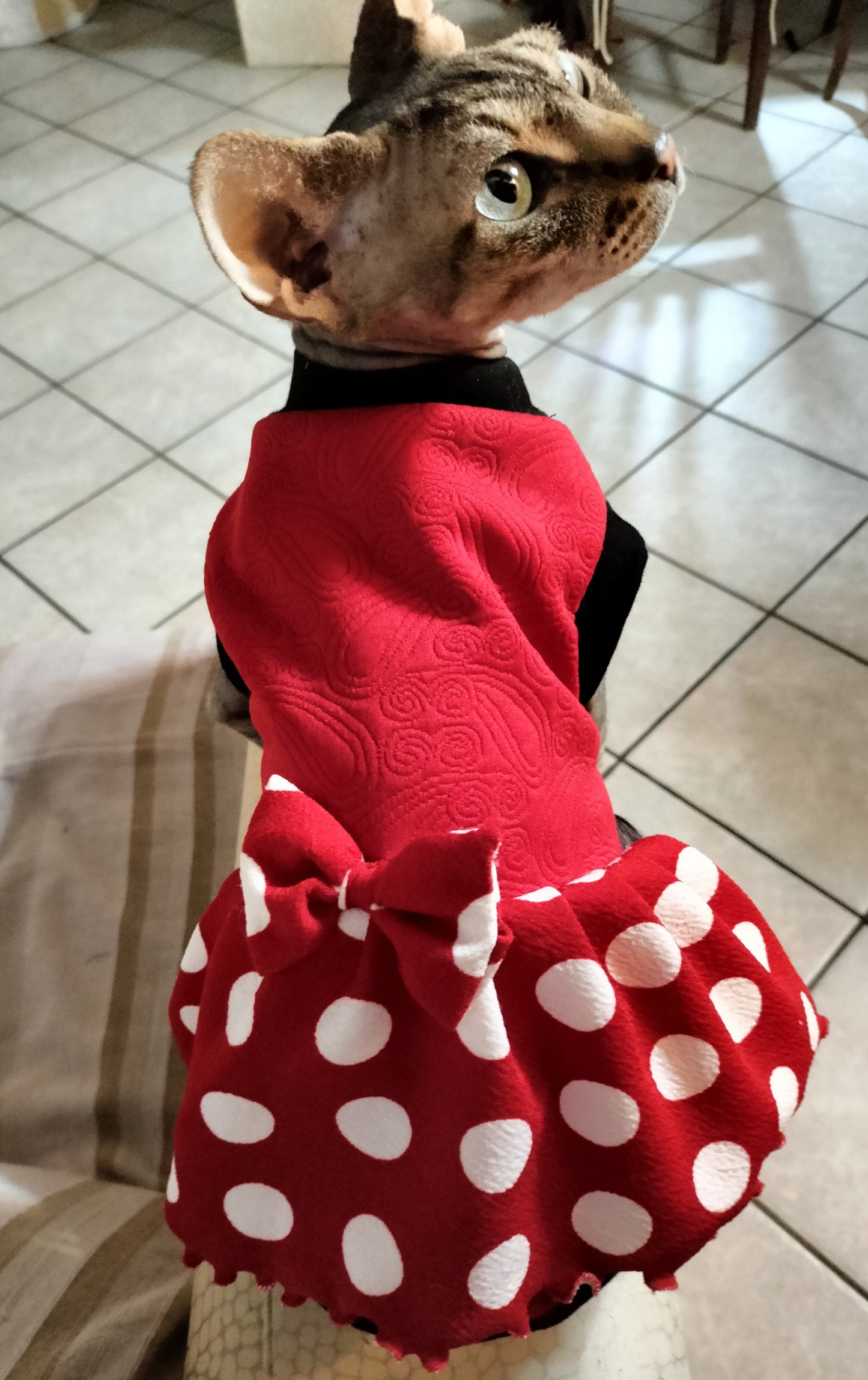 VESTITI A TEMA: MINNIE foderato in jersey
