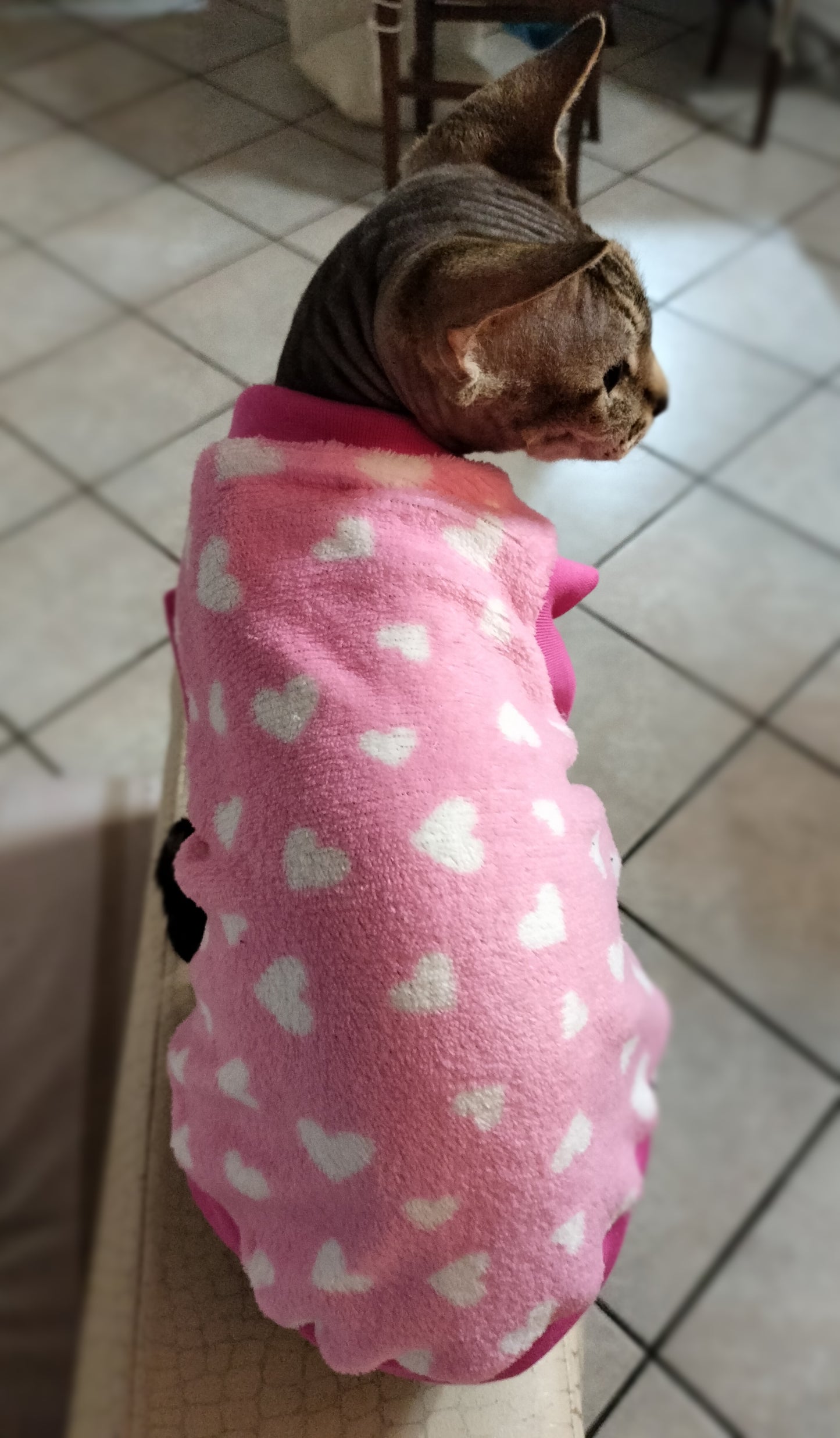 PILE CINIGLIATO LEGGERO CUORI BIANCHI SU FONDO ROSA (410)